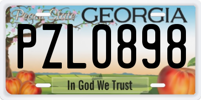 GA license plate PZL0898