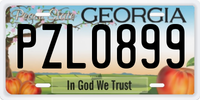 GA license plate PZL0899