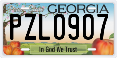 GA license plate PZL0907