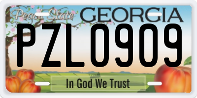 GA license plate PZL0909