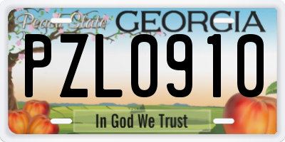 GA license plate PZL0910