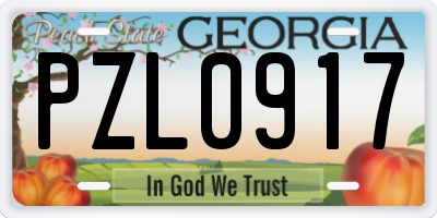 GA license plate PZL0917