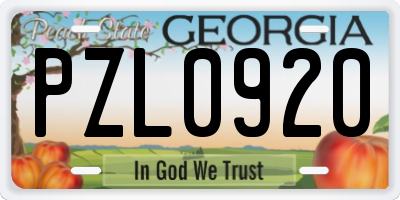 GA license plate PZL0920