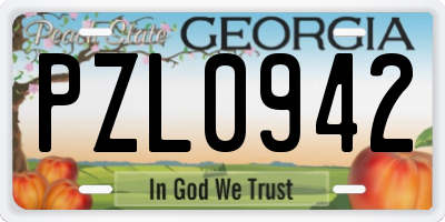 GA license plate PZL0942