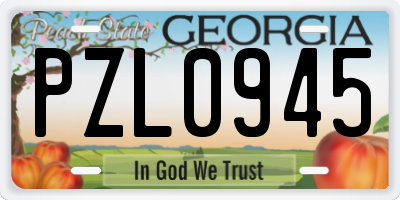 GA license plate PZL0945