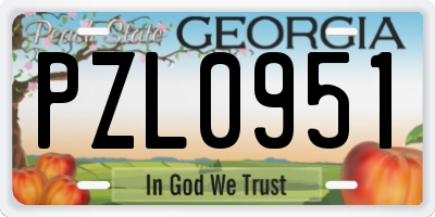 GA license plate PZL0951