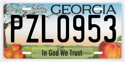 GA license plate PZL0953