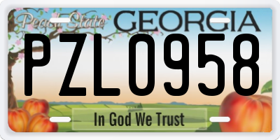 GA license plate PZL0958