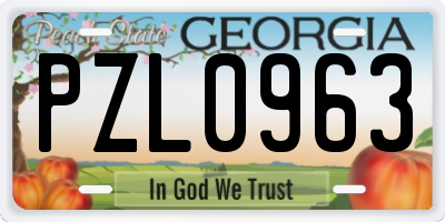 GA license plate PZL0963