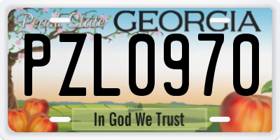 GA license plate PZL0970
