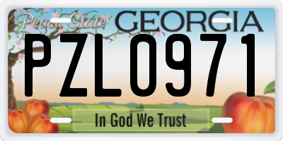 GA license plate PZL0971