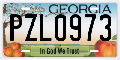 GA license plate PZL0973