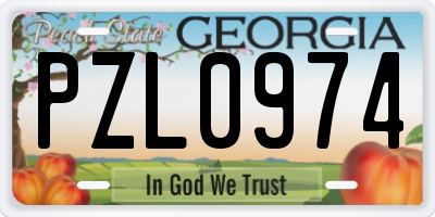 GA license plate PZL0974
