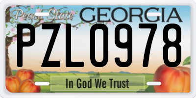 GA license plate PZL0978