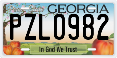 GA license plate PZL0982