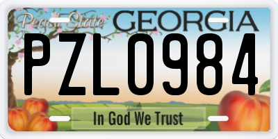 GA license plate PZL0984