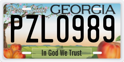 GA license plate PZL0989