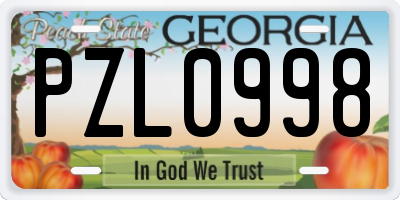 GA license plate PZL0998