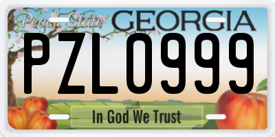 GA license plate PZL0999