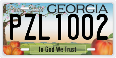 GA license plate PZL1002