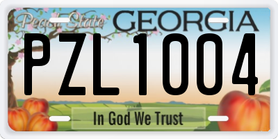 GA license plate PZL1004