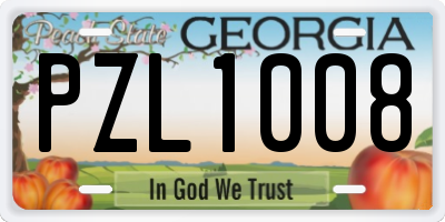 GA license plate PZL1008