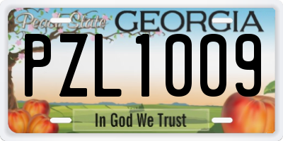 GA license plate PZL1009