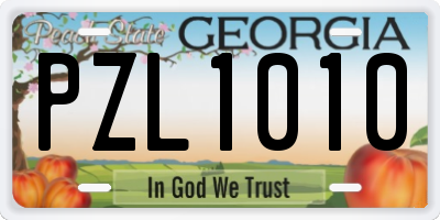 GA license plate PZL1010