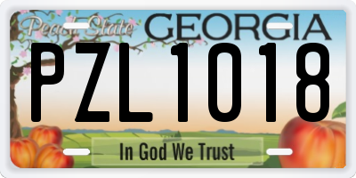 GA license plate PZL1018