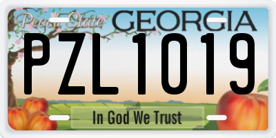 GA license plate PZL1019