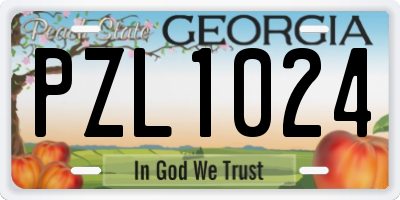 GA license plate PZL1024