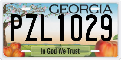 GA license plate PZL1029