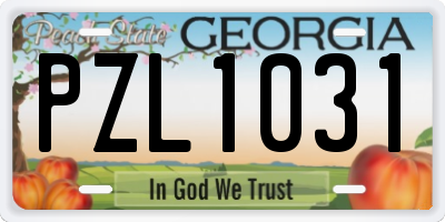 GA license plate PZL1031