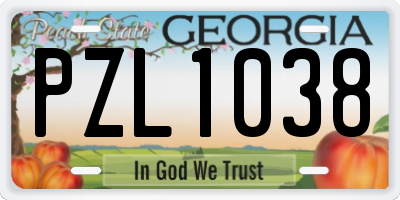 GA license plate PZL1038