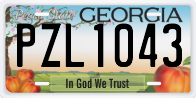 GA license plate PZL1043