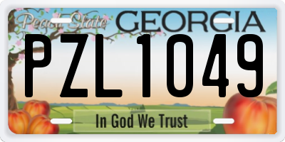 GA license plate PZL1049