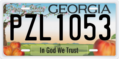 GA license plate PZL1053