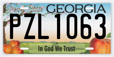 GA license plate PZL1063