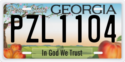 GA license plate PZL1104