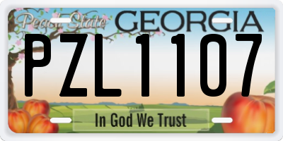 GA license plate PZL1107
