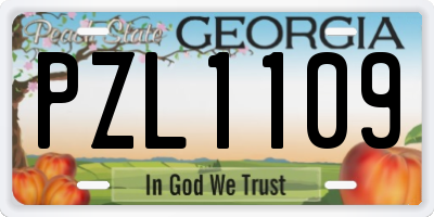 GA license plate PZL1109