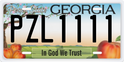 GA license plate PZL1111