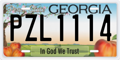 GA license plate PZL1114