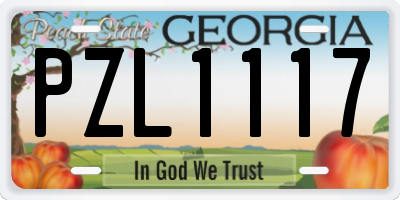 GA license plate PZL1117