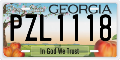 GA license plate PZL1118