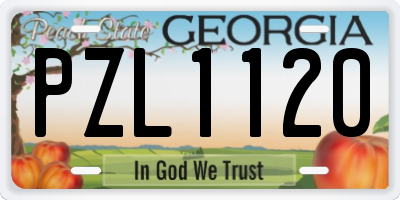GA license plate PZL1120