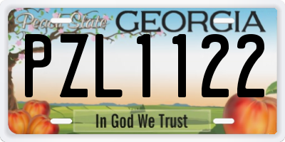 GA license plate PZL1122
