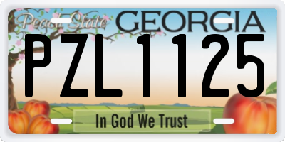 GA license plate PZL1125