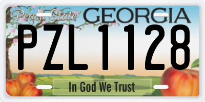 GA license plate PZL1128