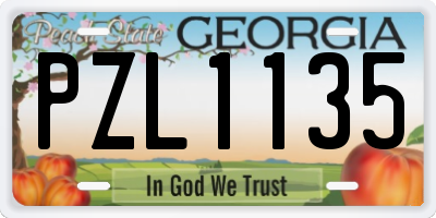 GA license plate PZL1135
